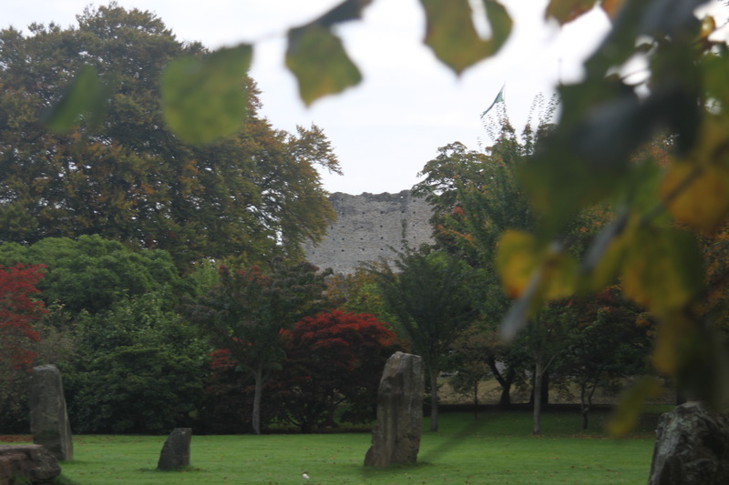 Standing stones in Bute Park