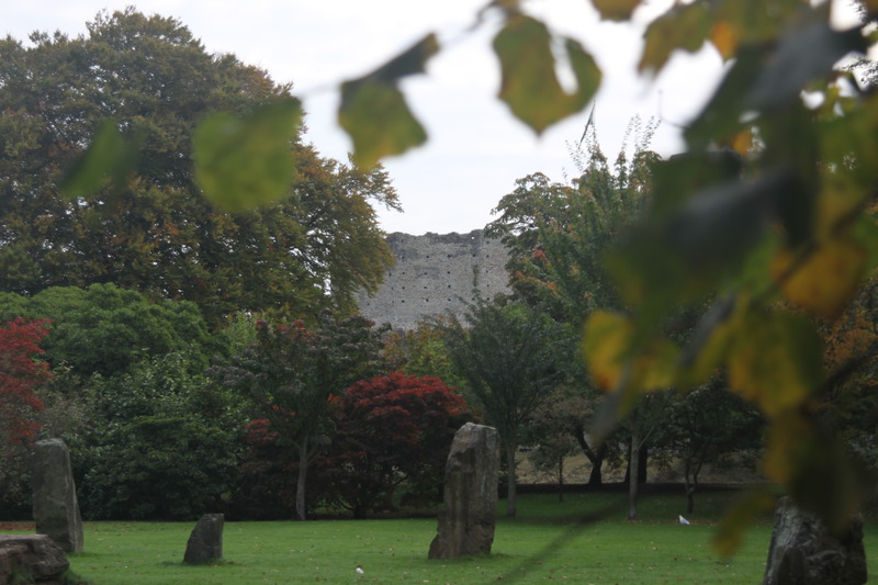 Standing stones in Bute Park