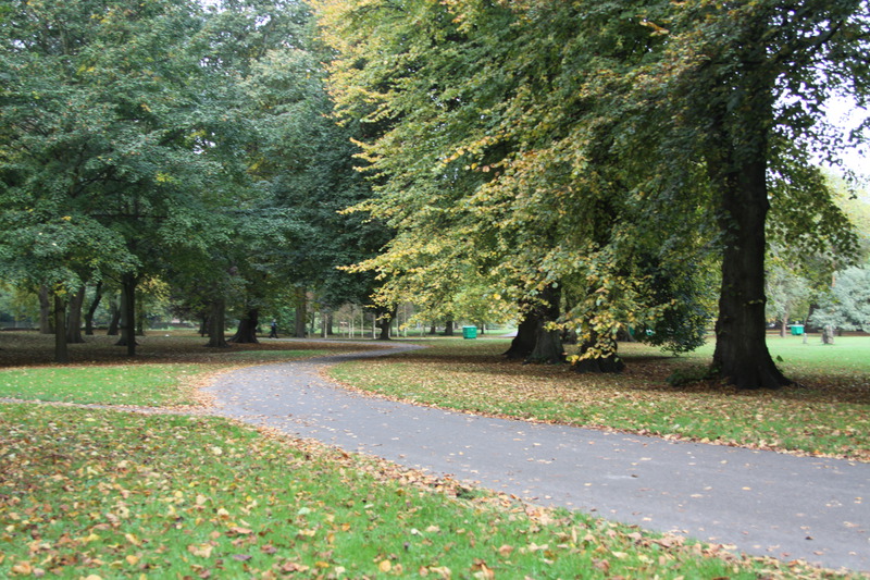 Path through Bute Park