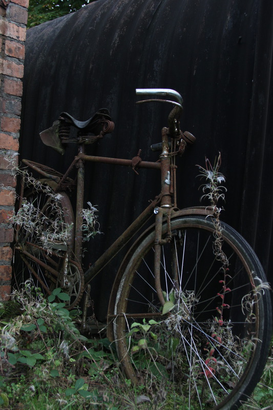 Rusty Bike